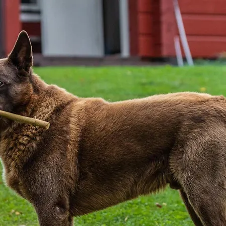 Kuikanranta By Interhome 別荘 Hara